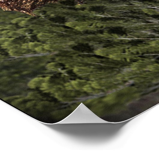 sasquatch poster (Hoek)