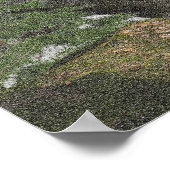 sasquatch poster (Hoek)