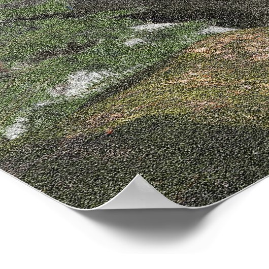 sasquatch poster (Hoek)