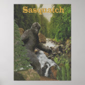 sasquatch poster (Voorkant)
