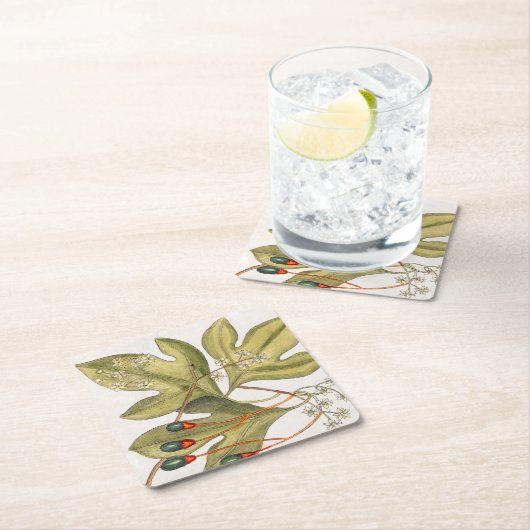 Sassafras Boom laat bloemen  kunst Kartonnen Onderzetters (Insitu)