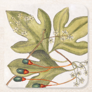 Sassafras Boom laat bloemen kunst Kartonnen Onderzetters