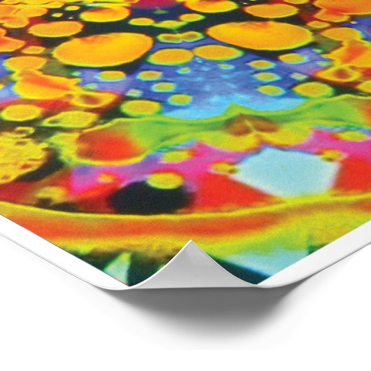 Sassafras Kinetic Collage Kaleidoscope Poster (Hoek)