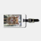 Sassy Cats Bagagelabel (Voorkant horizontaal)