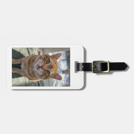 Sassy Cats Bagagelabel (Voorkant horizontaal)