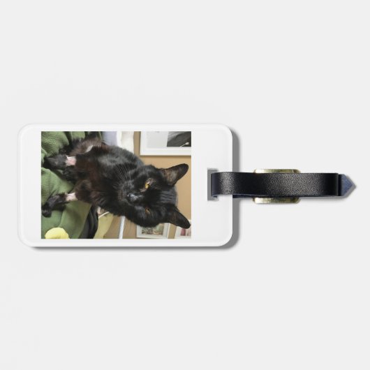 Sassy Cats Bagagelabel (Achterkant horizontaal)