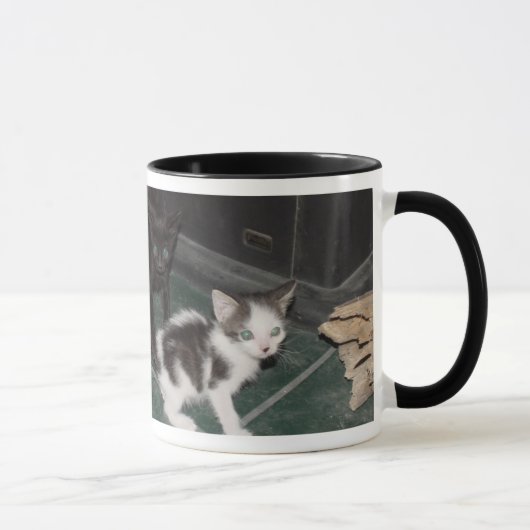 Sassy Cats Mok (Rechts)