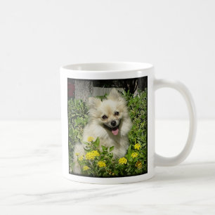 Sassy - Geluk is de liefde van een geadopteerde Po Koffiemok