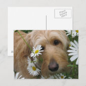 Sassy Girl Briefkaart (Voorkant / Achterkant)