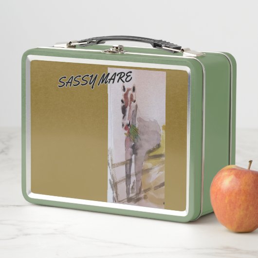 Sassy Mare 1st Aid Kit Box (In situ)