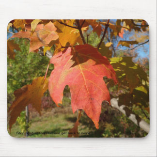 Sassy Mousepad van Natuur Muismat