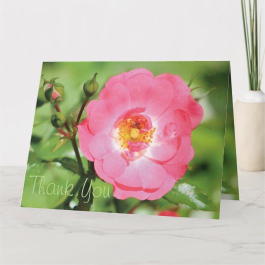 Sassy roze Rose Dank je Bedankkaart (Voorkant)