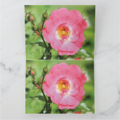 Sassy roze Rose Dank je Bedankkaart (Binnen)