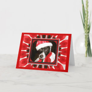 Sassy Santa Dog Feestdagen Kaart