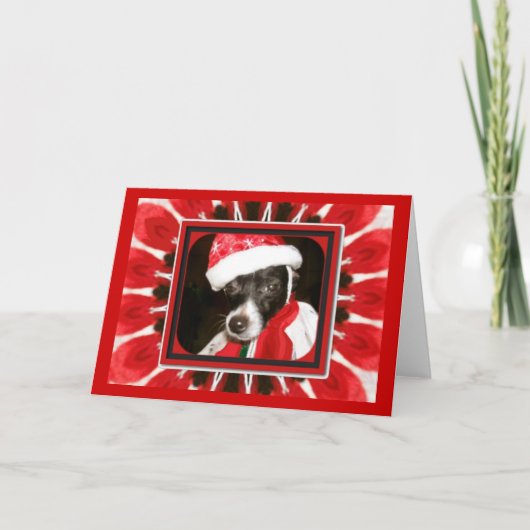 Sassy Santa Dog Feestdagen Kaart (Voorkant)