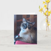Sassy Snowshoe Cat Kaart (Gele Bloem)