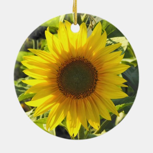 Sassy zonnebloem Ornament (Achterkant)