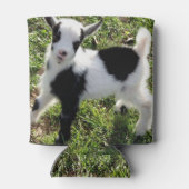 Sassy zwart-wit Nigeriaanse dwerg geit Kind Blikjeskoeler (Achterkant)