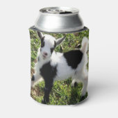 Sassy zwart-wit Nigeriaanse dwerg geit Kind Blikjeskoeler (Blikje Achterkant)