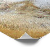 Sassydog de Bulldog Poster (Hoek)