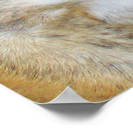 Sassydog de Bulldog Poster (Hoek)