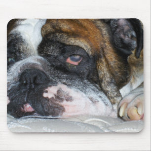 Sassydog English bulldog muispad Muismat
