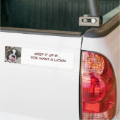 Sassydog Lickin Bumpersticker (Op Truck)