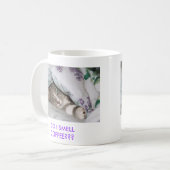 Sassydog SMELL COFFEE? kitten mok (Voorkant links)