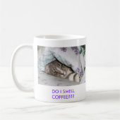 Sassydog SMELL COFFEE? kitten mok (Links)