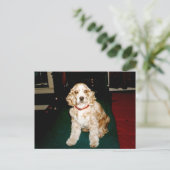 sassysassy briefkaart (Staand voorkant)