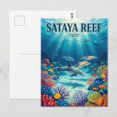 Sataya Reef Egypte Briefkaart (Voorkant / Achterkant)