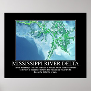 Satelliet-Afbeelding van de Mississippi-delta Poster