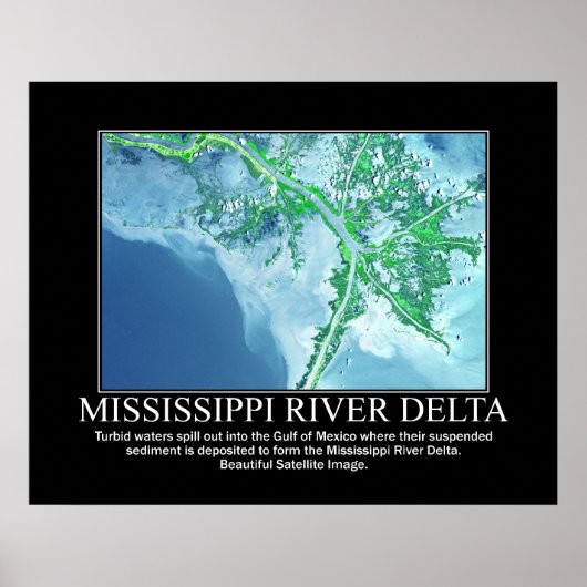 Satelliet-Afbeelding van de Mississippi-delta Poster (Voorkant)
