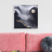 Satelliet-afbeelding van het eiland Semisopochnoi Canvas Afdruk (Insitu (Woonkamer))