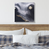 Satelliet-afbeelding van het eiland Semisopochnoi Canvas Afdruk (Insitu (Slaapkamer))