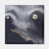 Satelliet-afbeelding van het eiland Semisopochnoi Magneet (Voorkant)