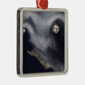 Satelliet-afbeelding van het eiland Semisopochnoi Metalen Ornament (Rechts)