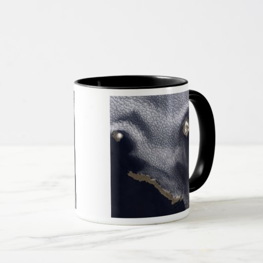 Satelliet-afbeelding van het eiland Semisopochnoi Mok (Voorkant rechts)