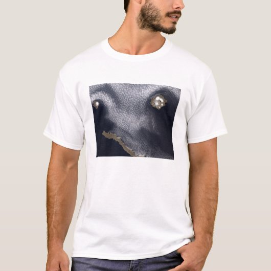 Satelliet-afbeelding van het eiland Semisopochnoi T-shirt (Voorkant)