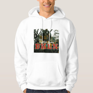 Satelliet liefhebbers Hoodie | BKLN