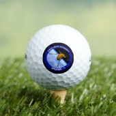 Satelliet Missiepatch Idaho Spudnik Golfballen (Insitu Shirt)