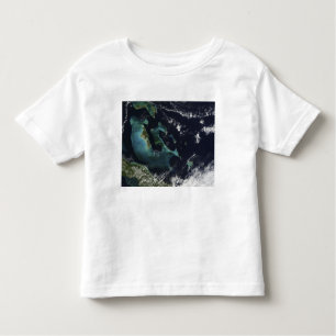 Satelliet-uitzicht van de Bahama-eilanden Kinder Shirts