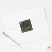 Satelliet-uitzicht van de Grote Meren Vierkante Sticker (Envelop)