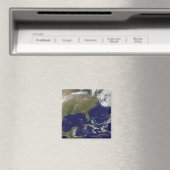 Satelliet-uitzicht van de oostkust van de Verenigd Magneet (Insitu (Vaatwasser))