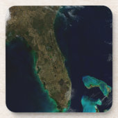 Satelliet Uitzicht van Florida. Bier Onderzetter (Voorkant)