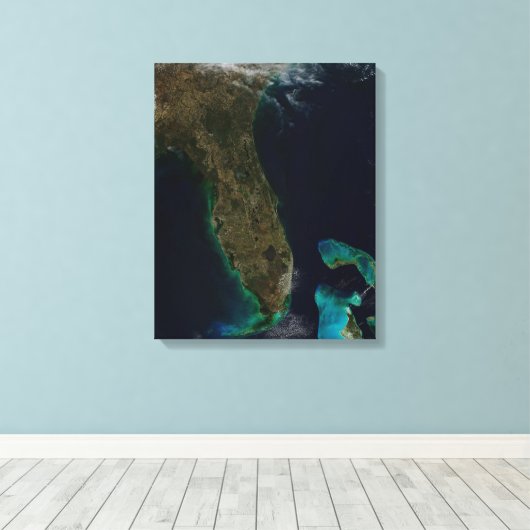 Satelliet Uitzicht van Florida. Canvas Afdruk (Insitu (Houten vloer))