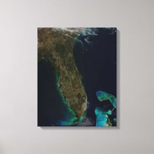 Satelliet Uitzicht van Florida. Canvas Afdruk (Voorkant)