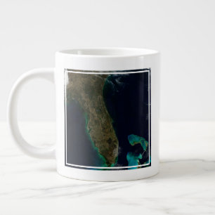 Satelliet Uitzicht van Florida. Grote Koffiekop