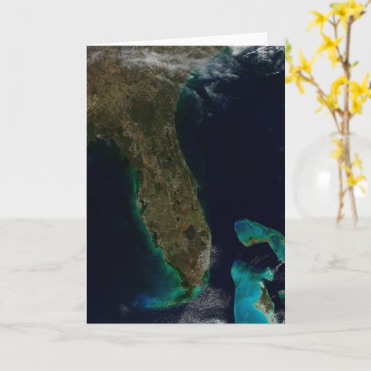 Satelliet Uitzicht van Florida. Kaart (Gele Bloem)