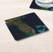 Satelliet Uitzicht van Florida. Kartonnen Onderzetters (Schuin)
